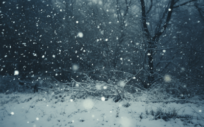 How to Protect Your Home During the Winter