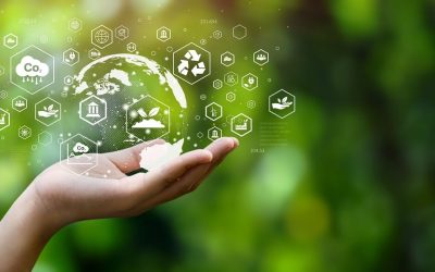 Landlord’s Guide to Waste Management in Rental Properties